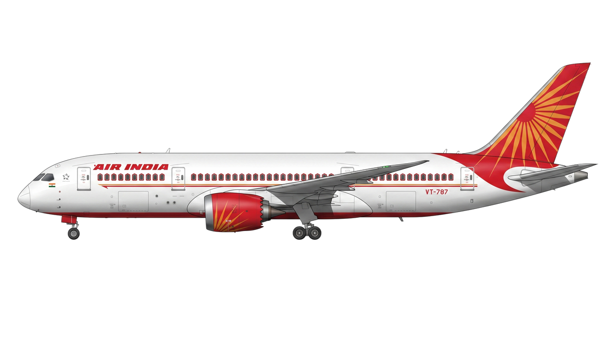 Air India livery