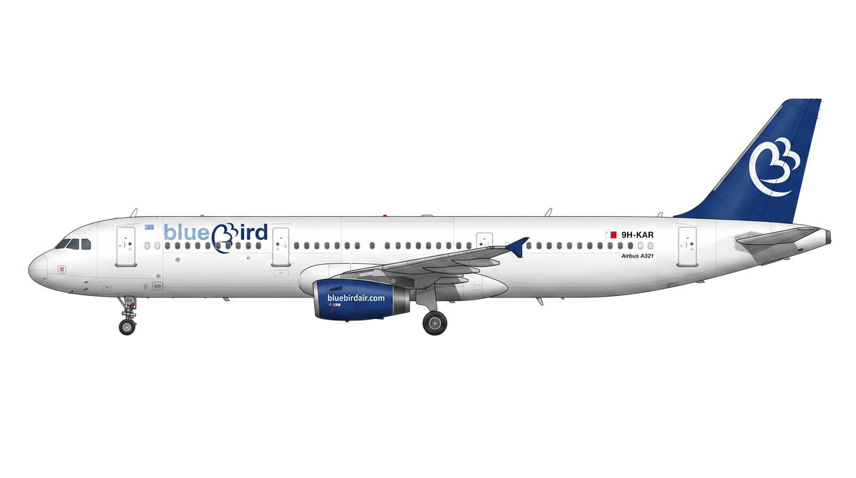 Blue Bird Airways livery