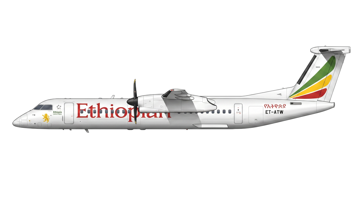 DH8