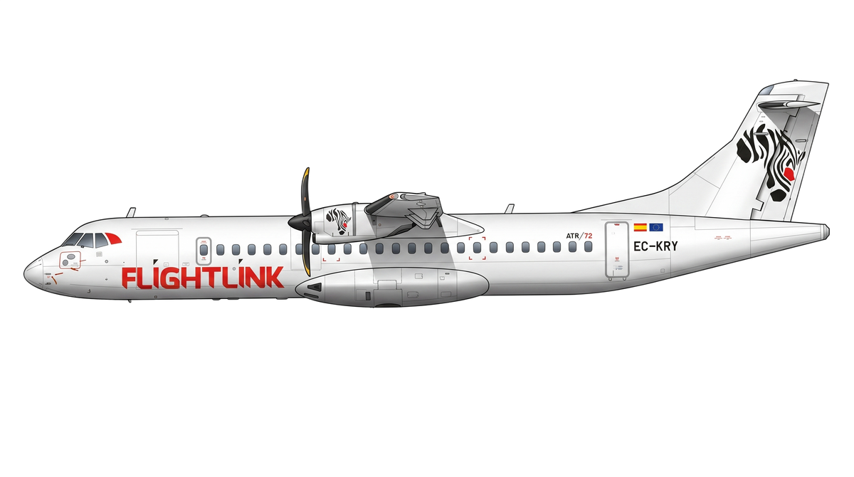 Flightlink livery