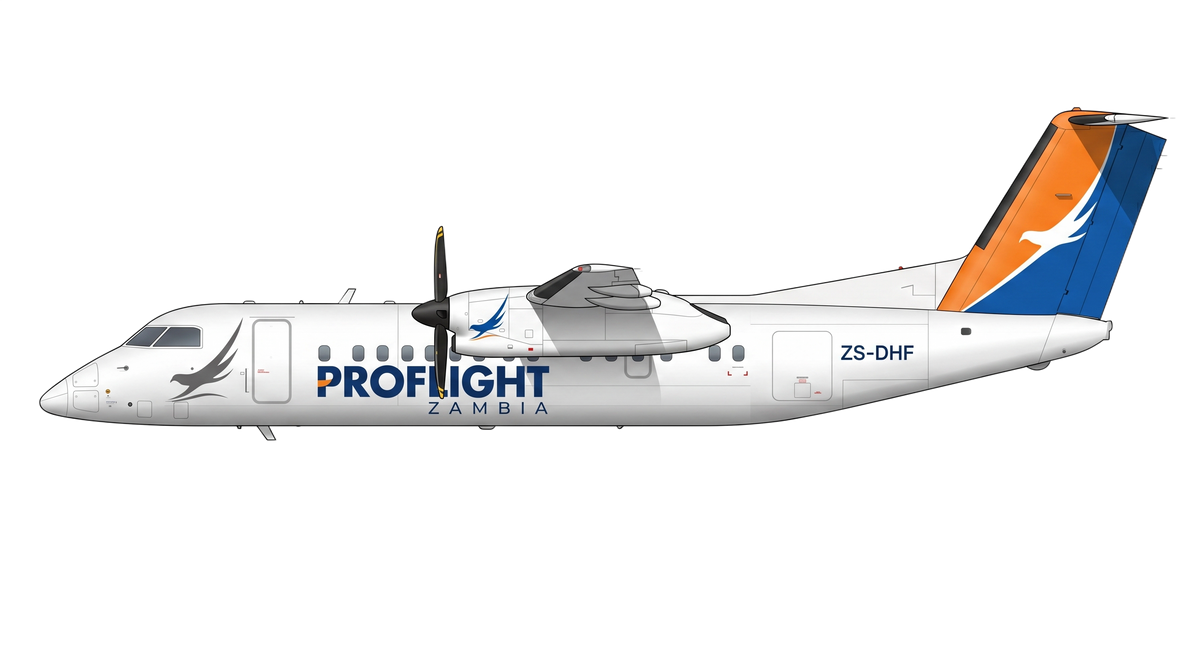 DH8
