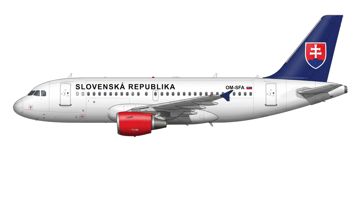 Go2Sky livery
