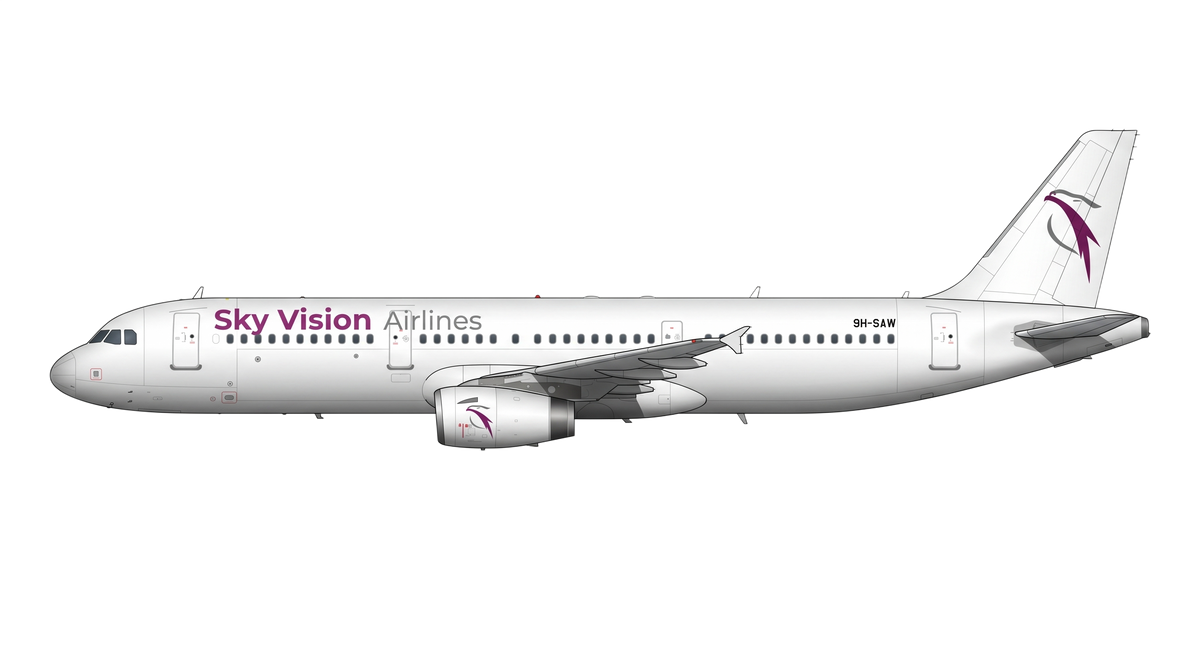 Sky Vision Airlines livery