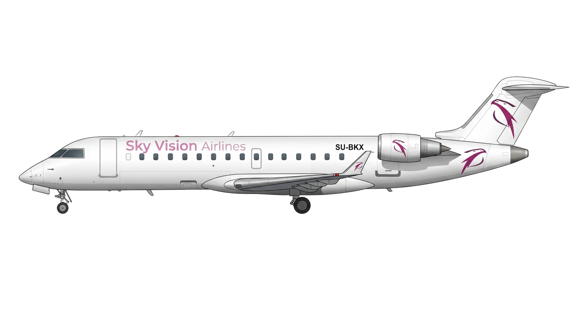 Sky Vision Airlines livery